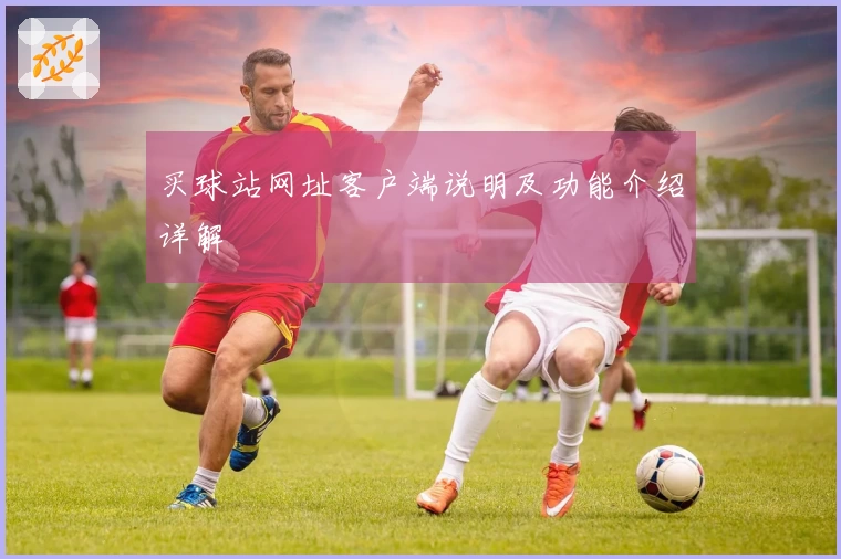 买球站网址客户端说明及功能介绍详解