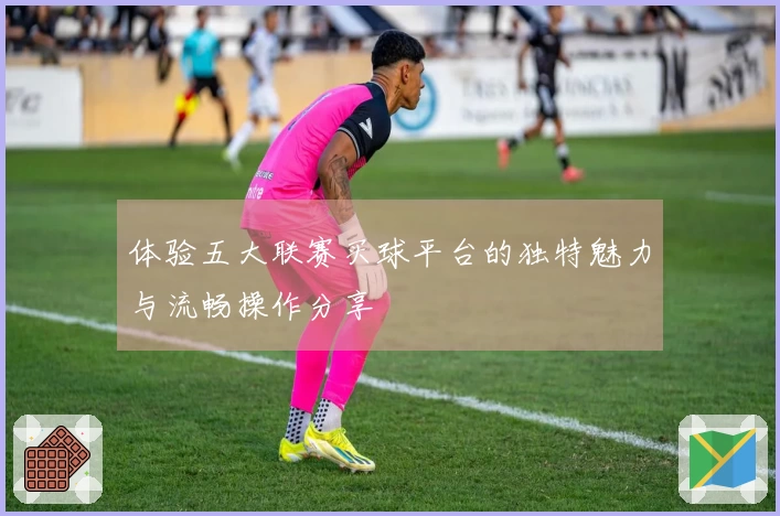 体验五大联赛买球平台的独特魅力与流畅操作分享