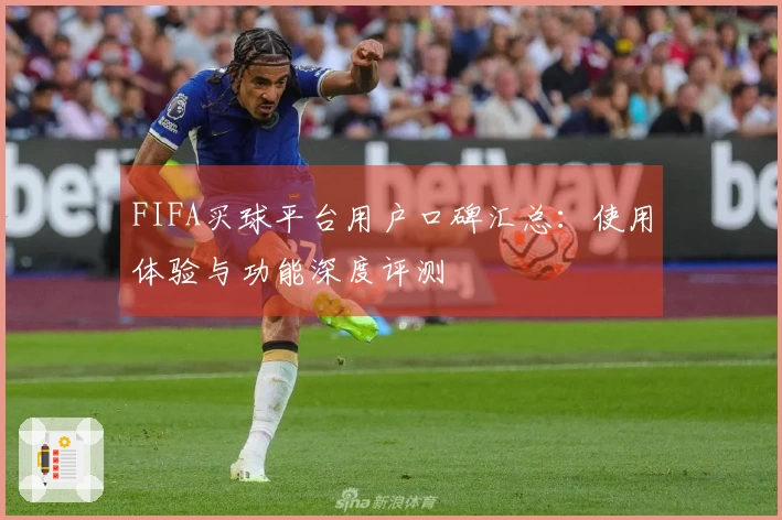 FIFA买球平台用户口碑汇总：使用体验与功能深度评测
