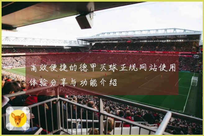 高效便捷的德甲买球正规网站使用体验分享与功能介绍