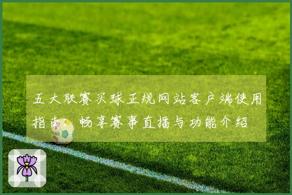 五大联赛买球正规网站客户端使用指南：畅享赛事直播与功能介绍