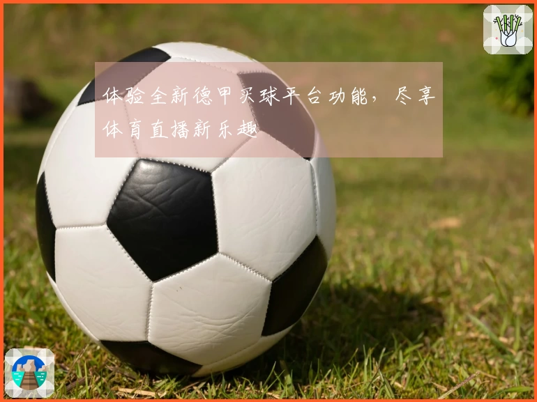 体验全新德甲买球平台功能，尽享体育直播新乐趣