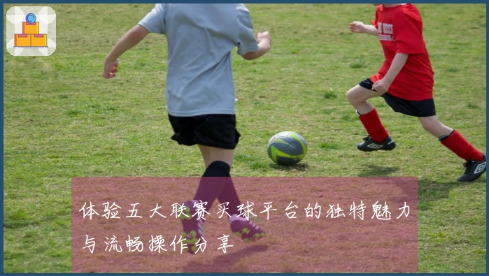 体验五大联赛买球平台的独特魅力与流畅操作分享